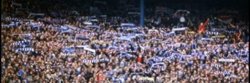 Terry⭐️⭐️🏴󠁧󠁢󠁥󠁮󠁧󠁿 banner