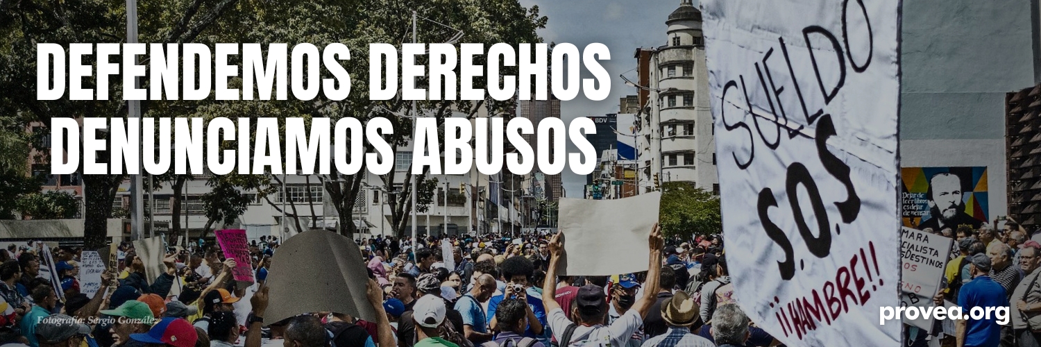 PROVEA's banner