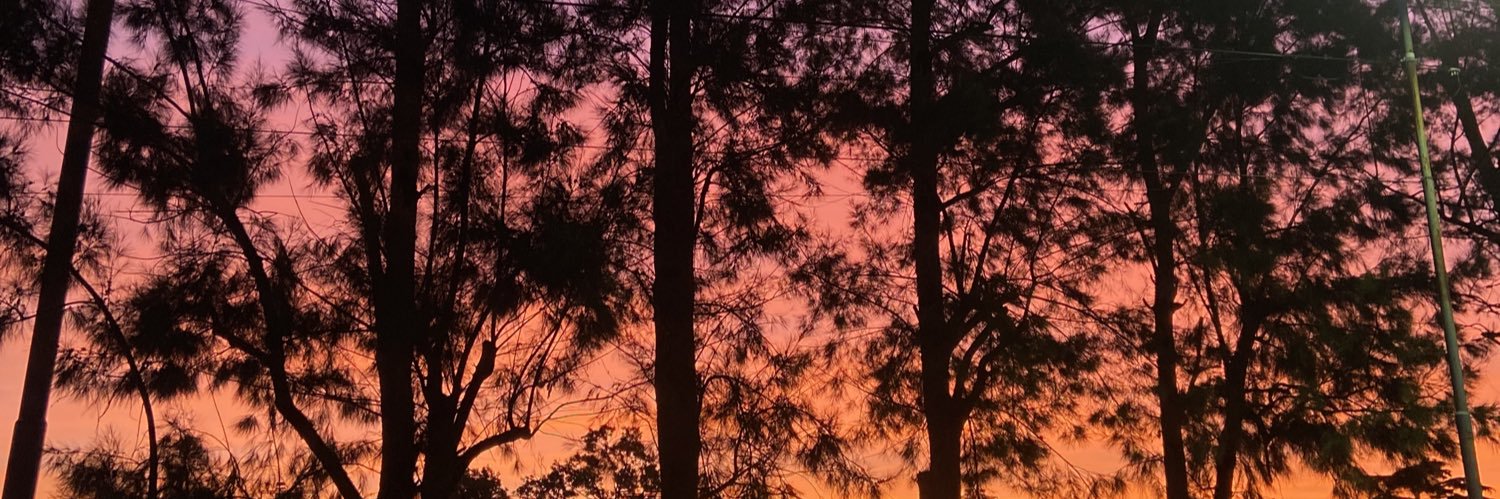 CanduRoldan's profile banner image