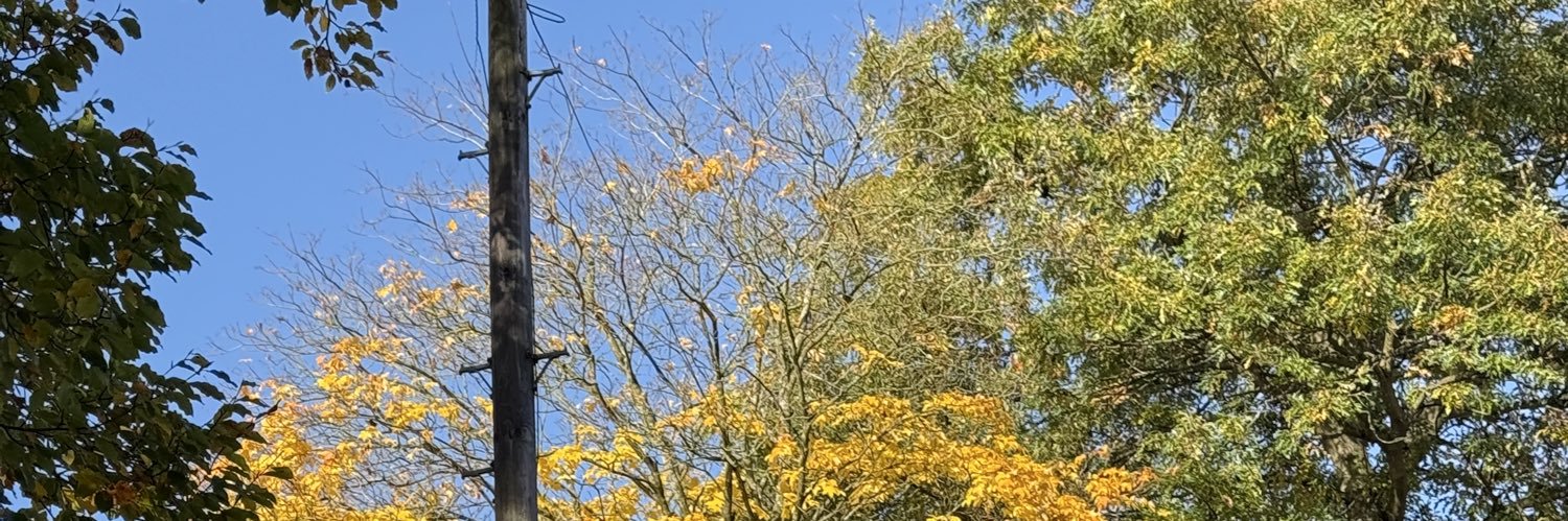 Solomon Osadolo banner