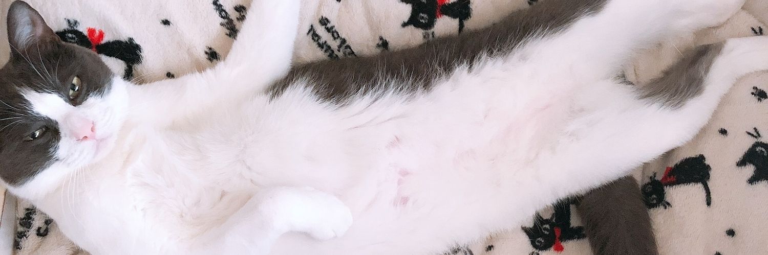 0ttpai's profile banner image