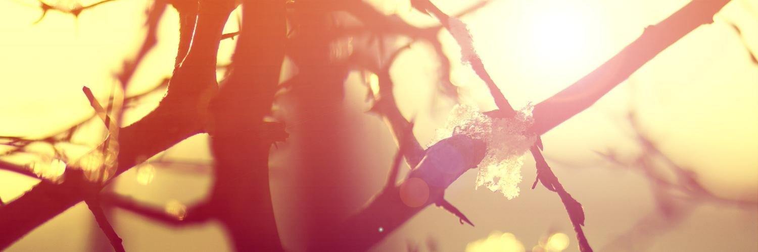 yesiinava's profile banner image