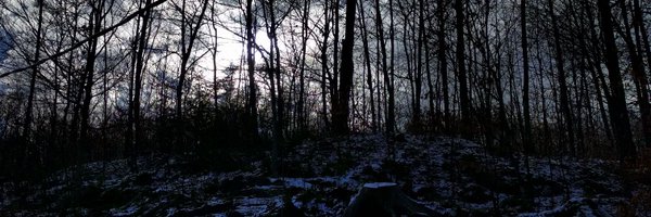 Delirio Profile Banner