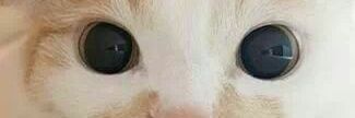 farahdita25's profile banner image