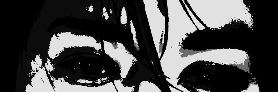 leebitpirate's profile banner image