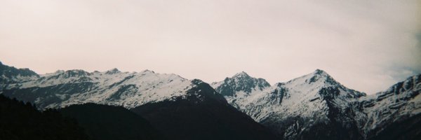 myblackcanary Profile Banner