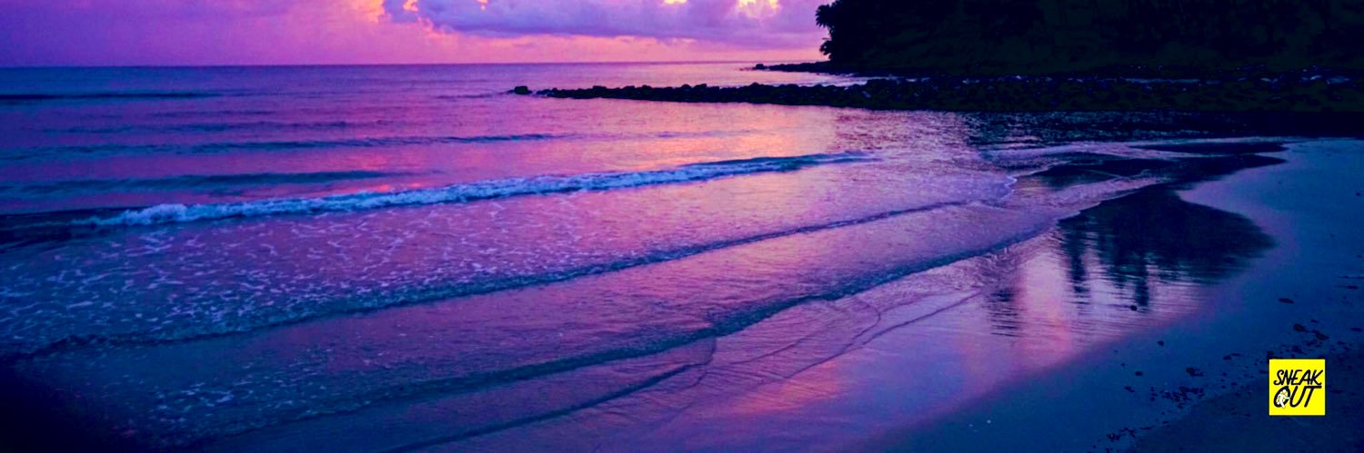 จีน่า banner