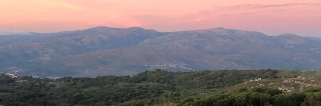 JessicaMMDS's profile banner image