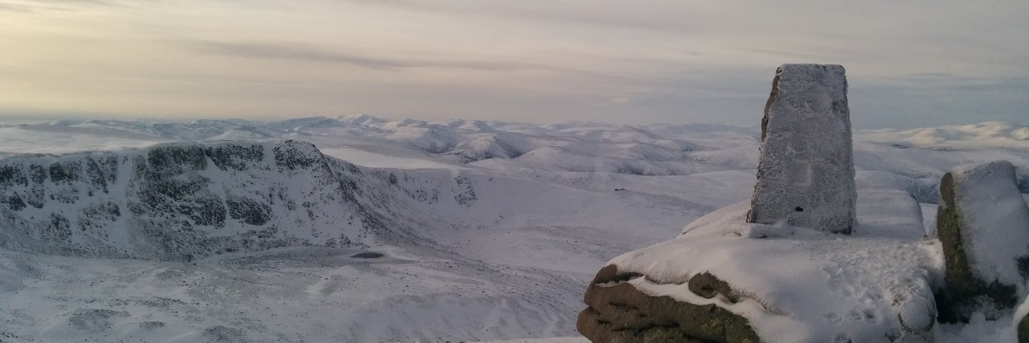 Chris Liversidge banner