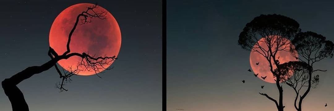 jamtheterrible's profile banner image