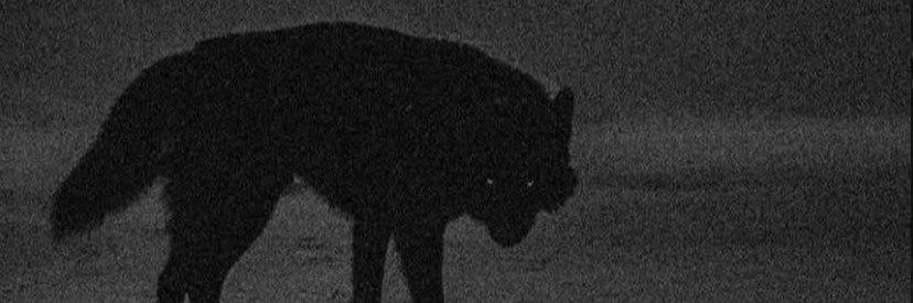 Mvsteek's profile banner image