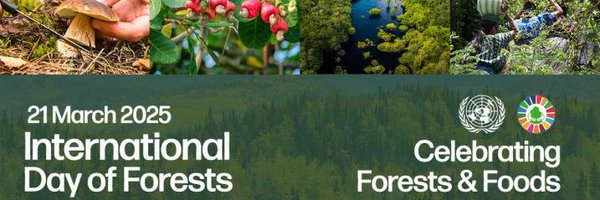 KeForestService Profile Banner