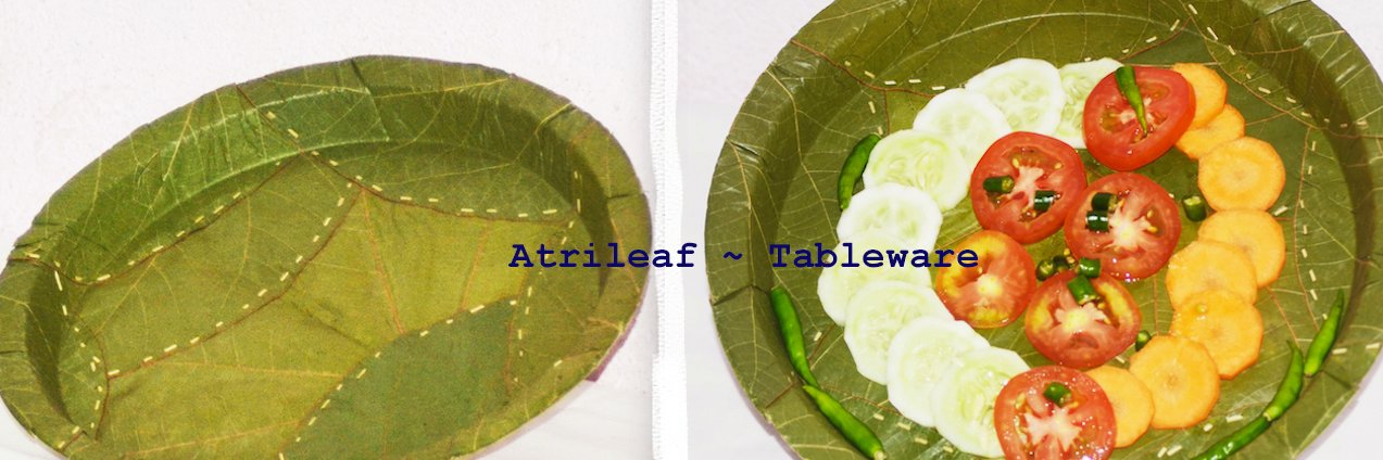 atrileaf's profile banner image