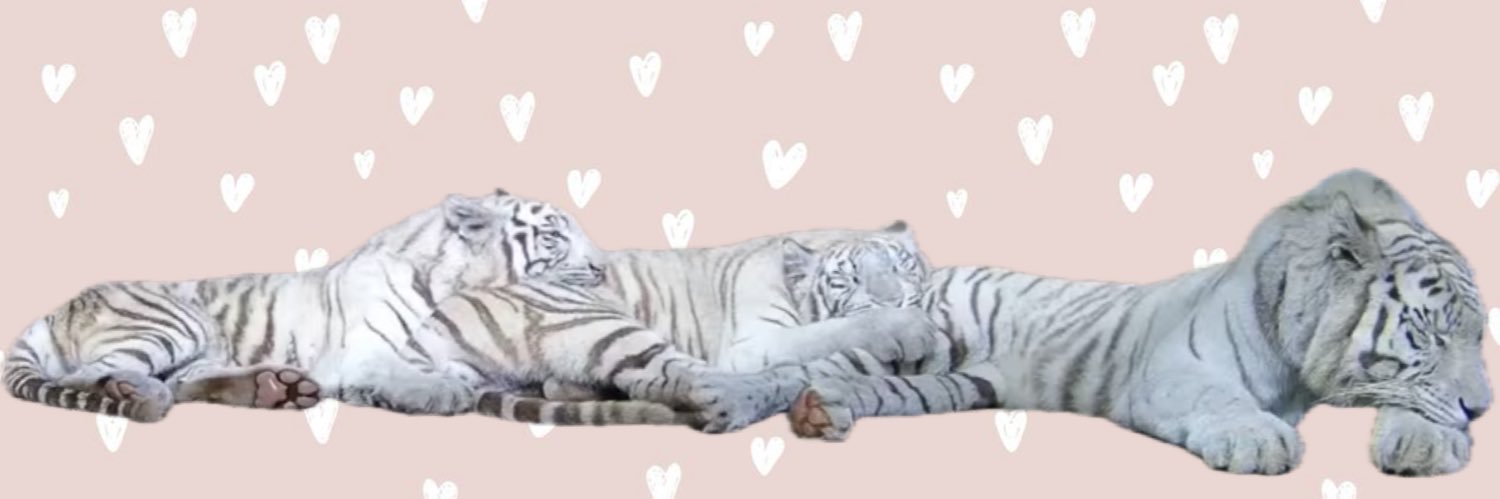 tfmeee1's profile banner image