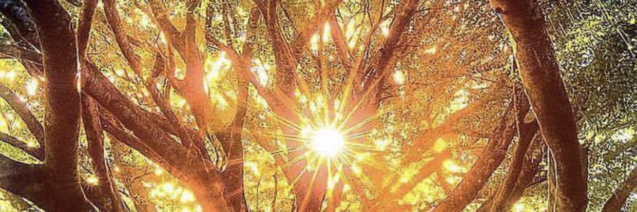 TAGoldspring's profile banner image