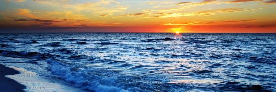 rocio_serrano98's profile banner image