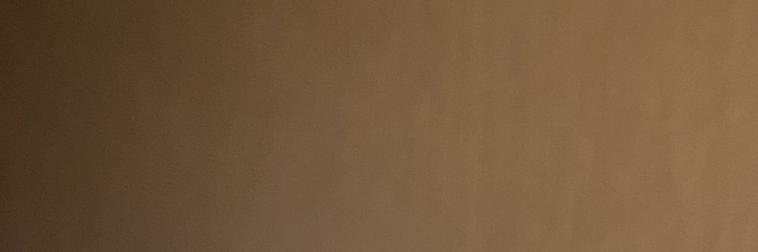 lilaliling's profile banner image