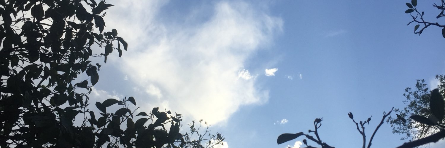 fraaire's profile banner image