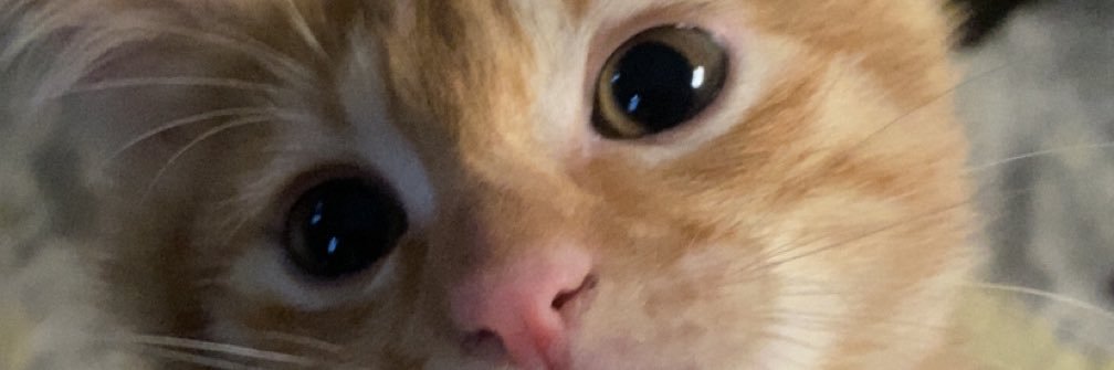 🌟 banner