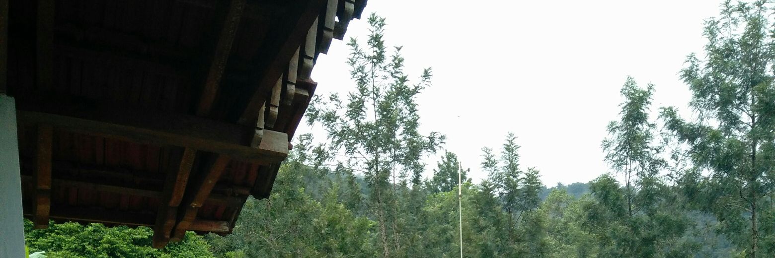 rayyshme's profile banner image