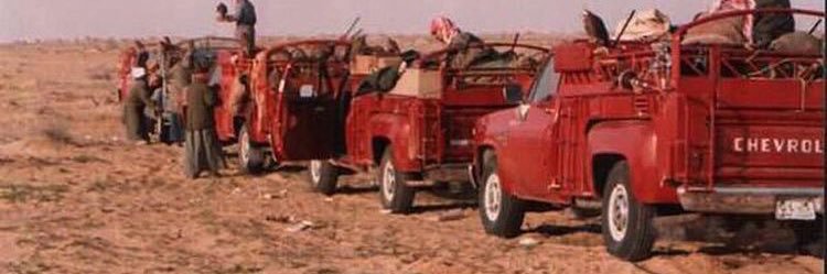 Q_7sr's profile banner image
