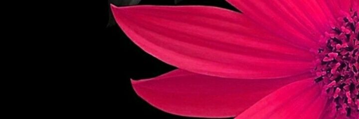 ConToit777's profile banner image