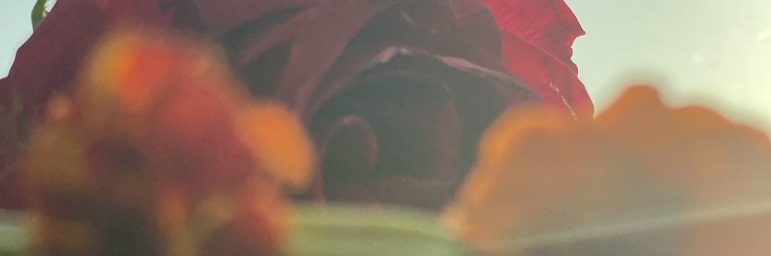 14_jpm's profile banner image
