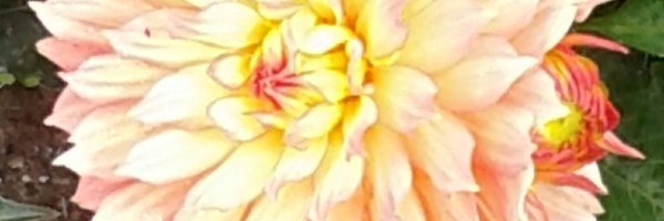 DraperMoore Profile Banner