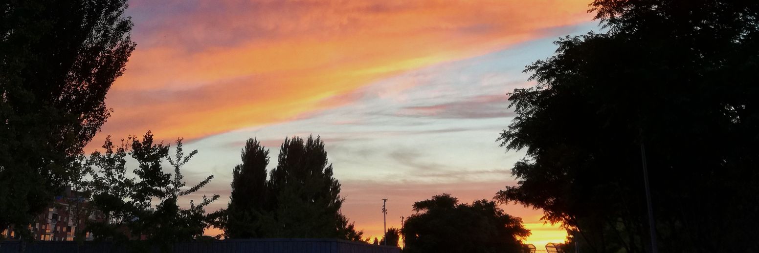sofiaglez23's profile banner image