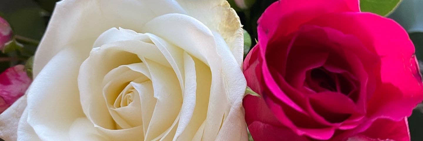 Alexandra Maturoi banner