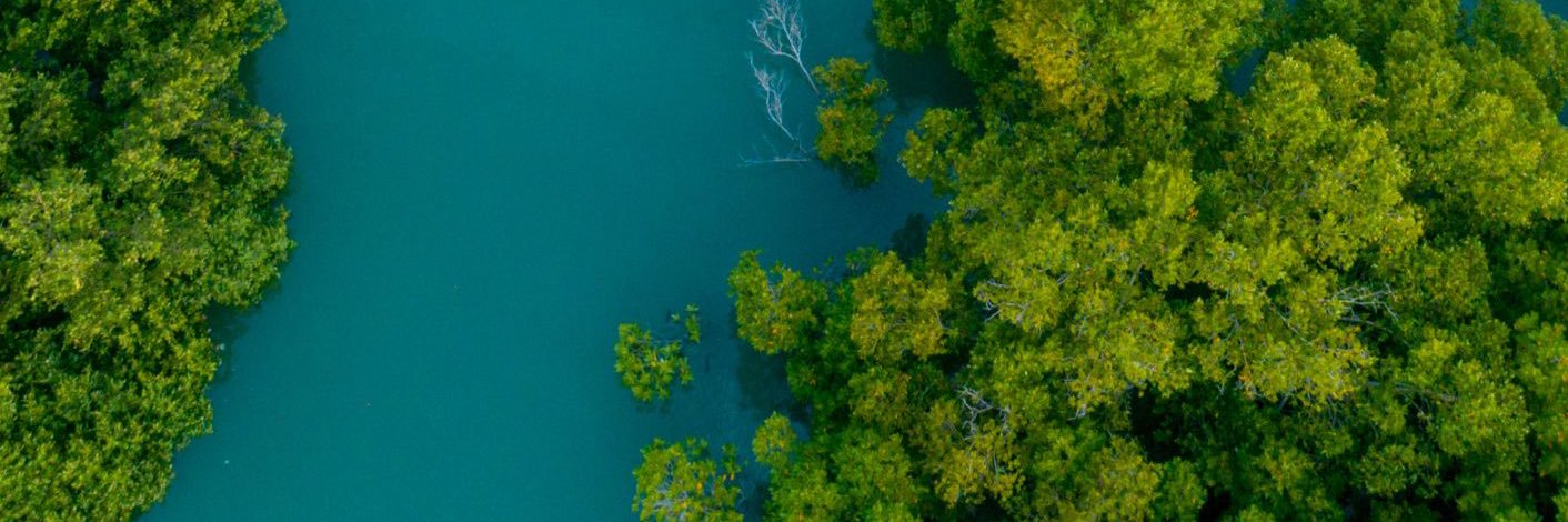UN Environment Programme in Africa's banner