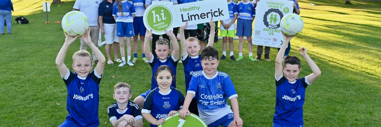 Healthy Limerick banner