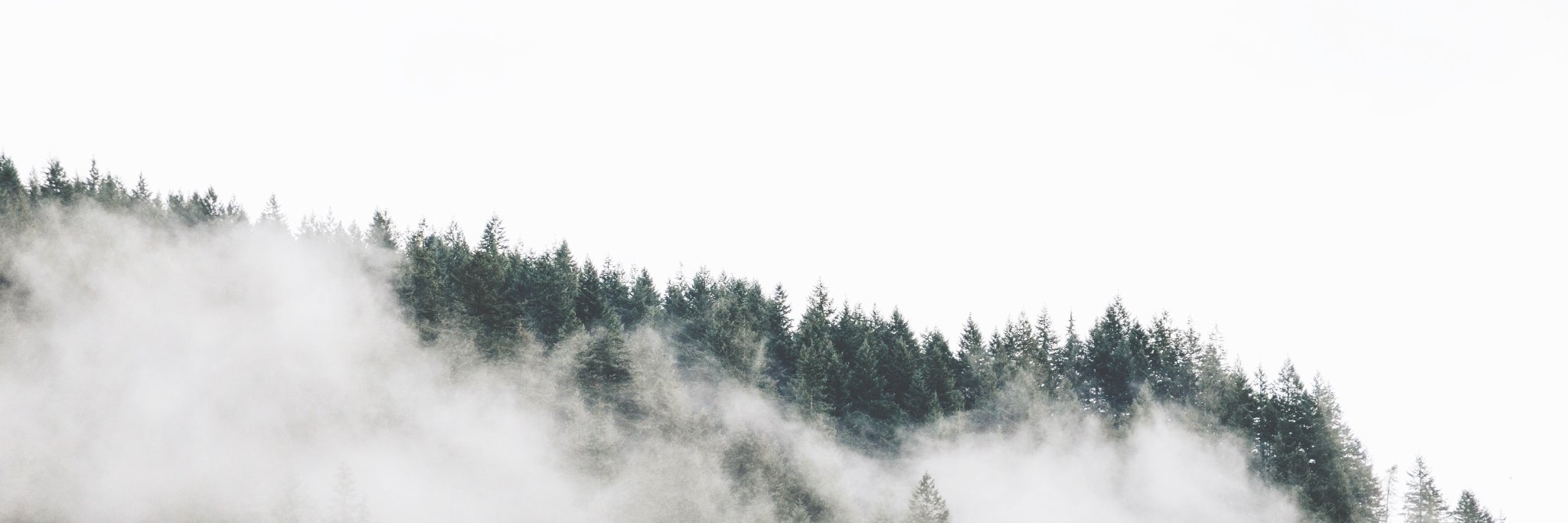 Humans of the North banner