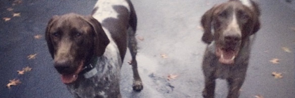 IsazaLucas's profile banner image