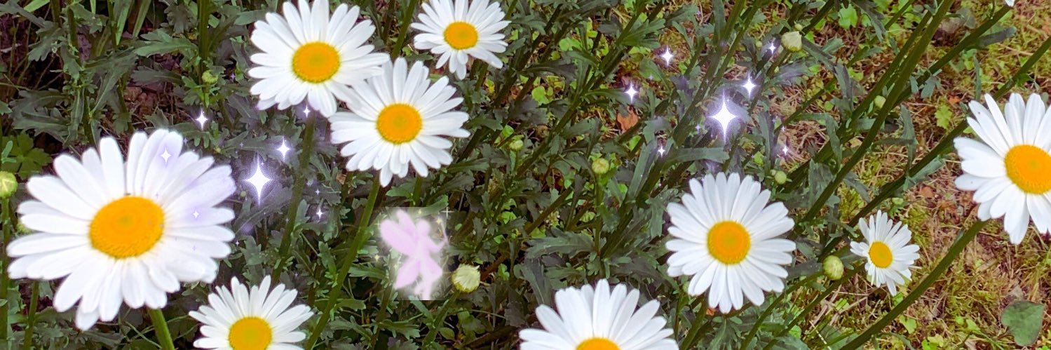 ximiko_j's profile banner image