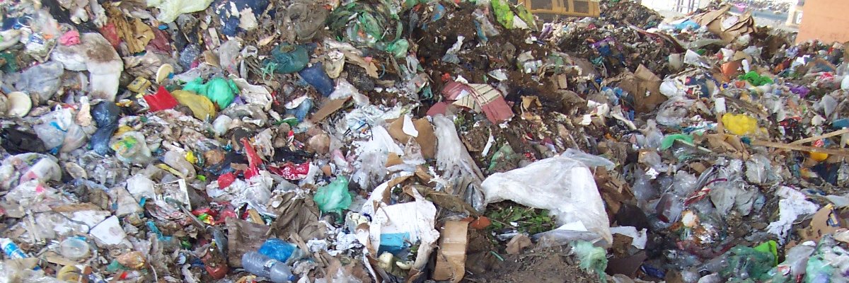 arbermam's profile banner image