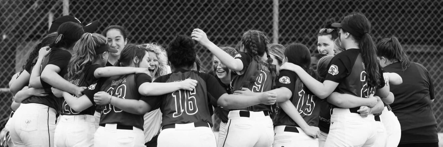Bristol Central Softball banner