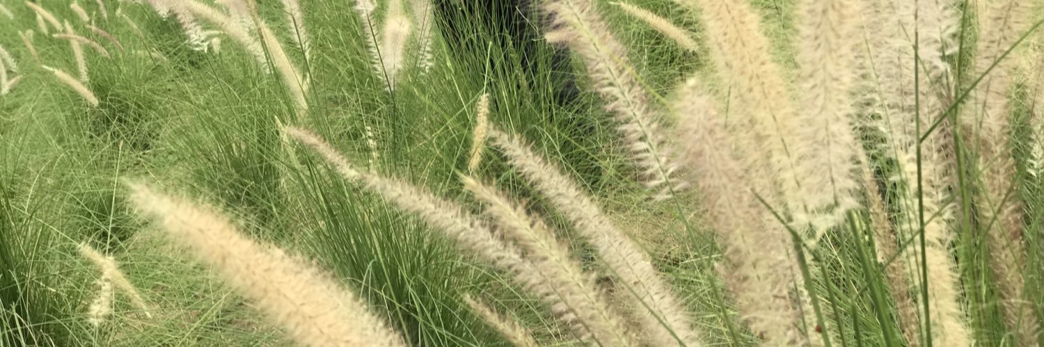 ACHIRAWAT2's profile banner image
