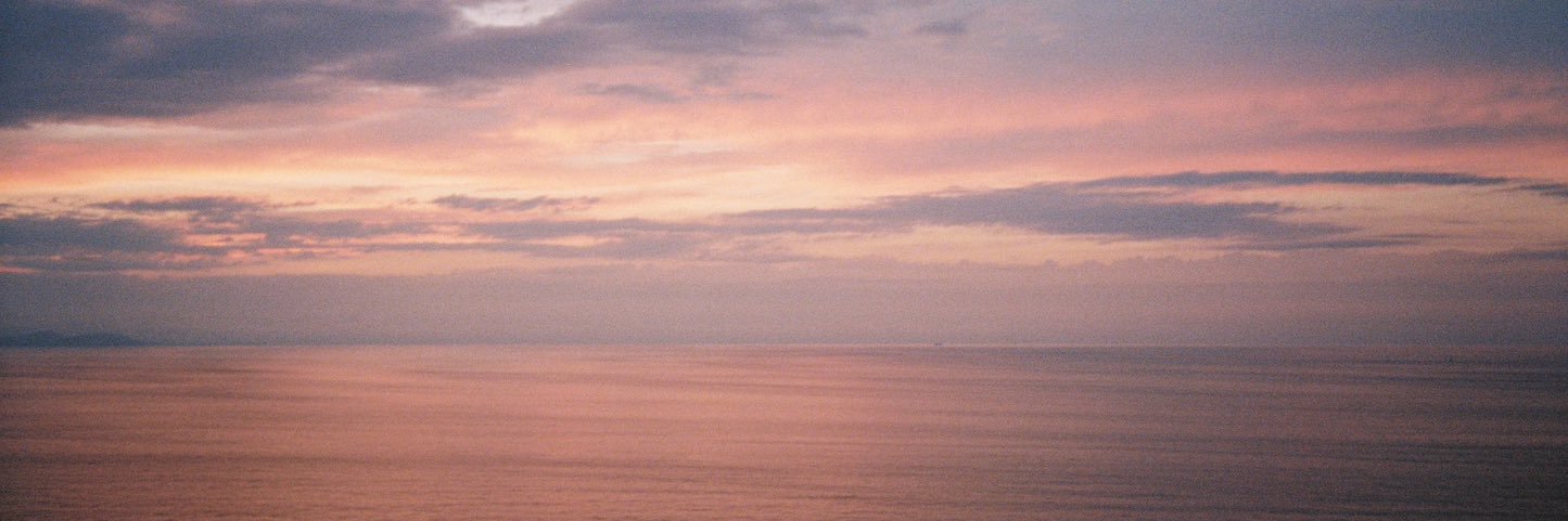 anee_tg's profile banner image