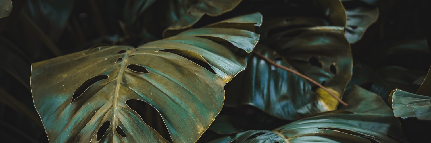 nickfarr's profile banner image