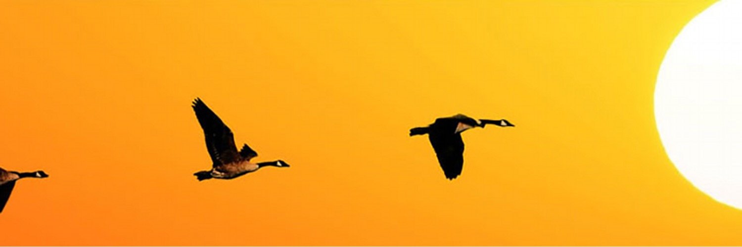 jamespotten's profile banner image