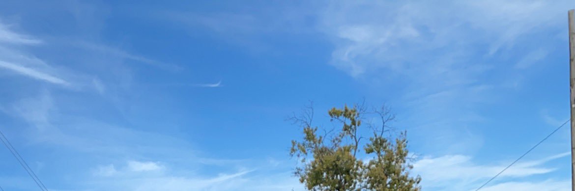 ToddEwick's profile banner image