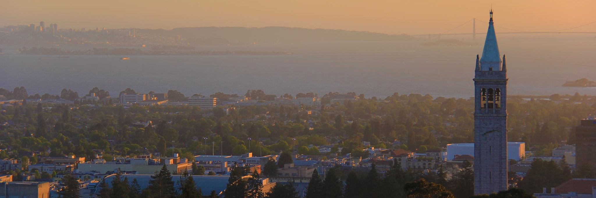 Primal Wijesekera banner