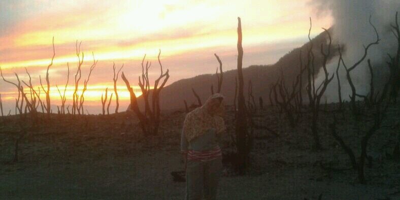 Aulia Zakia Husna banner