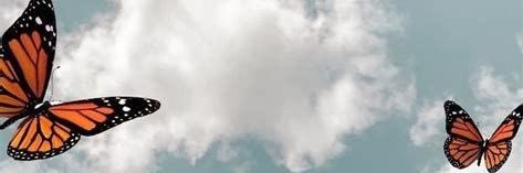 fatiiespi's profile banner image