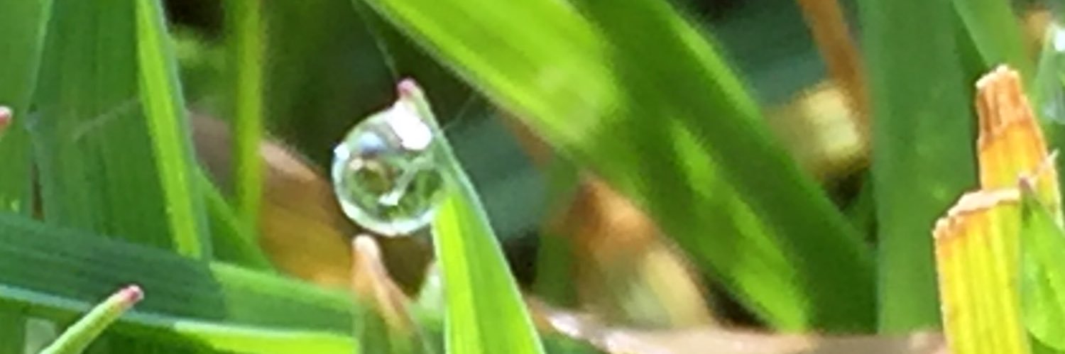 YP1CAL's profile banner image