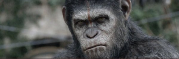 CamronCooper10 Profile Banner