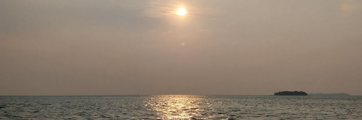 nzyyya's profile banner image