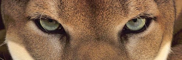 NastiaPav Profile Banner