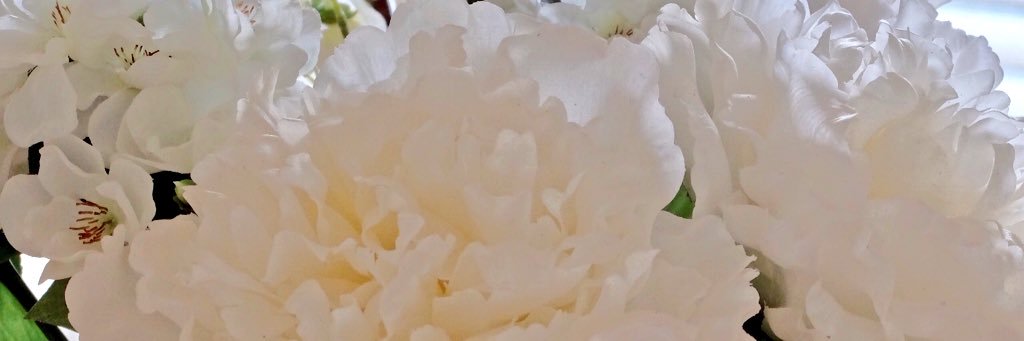 styleparcel's profile banner image